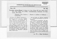 Image Associated With the Occurence